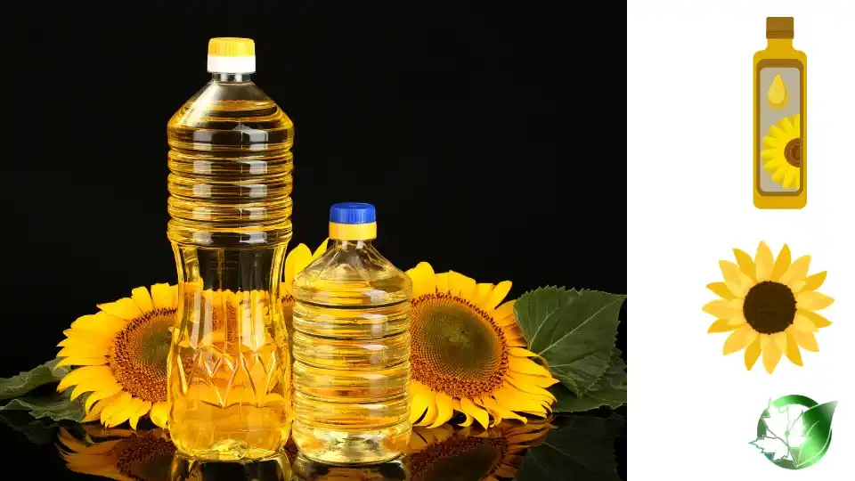 Commercial presentation of Sunflower Oil for wholesale product evaluation and buyer review.
